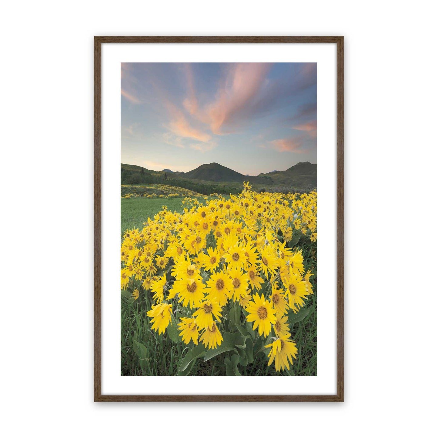 [Color:Walnut], Picture of art in a Walnut frame