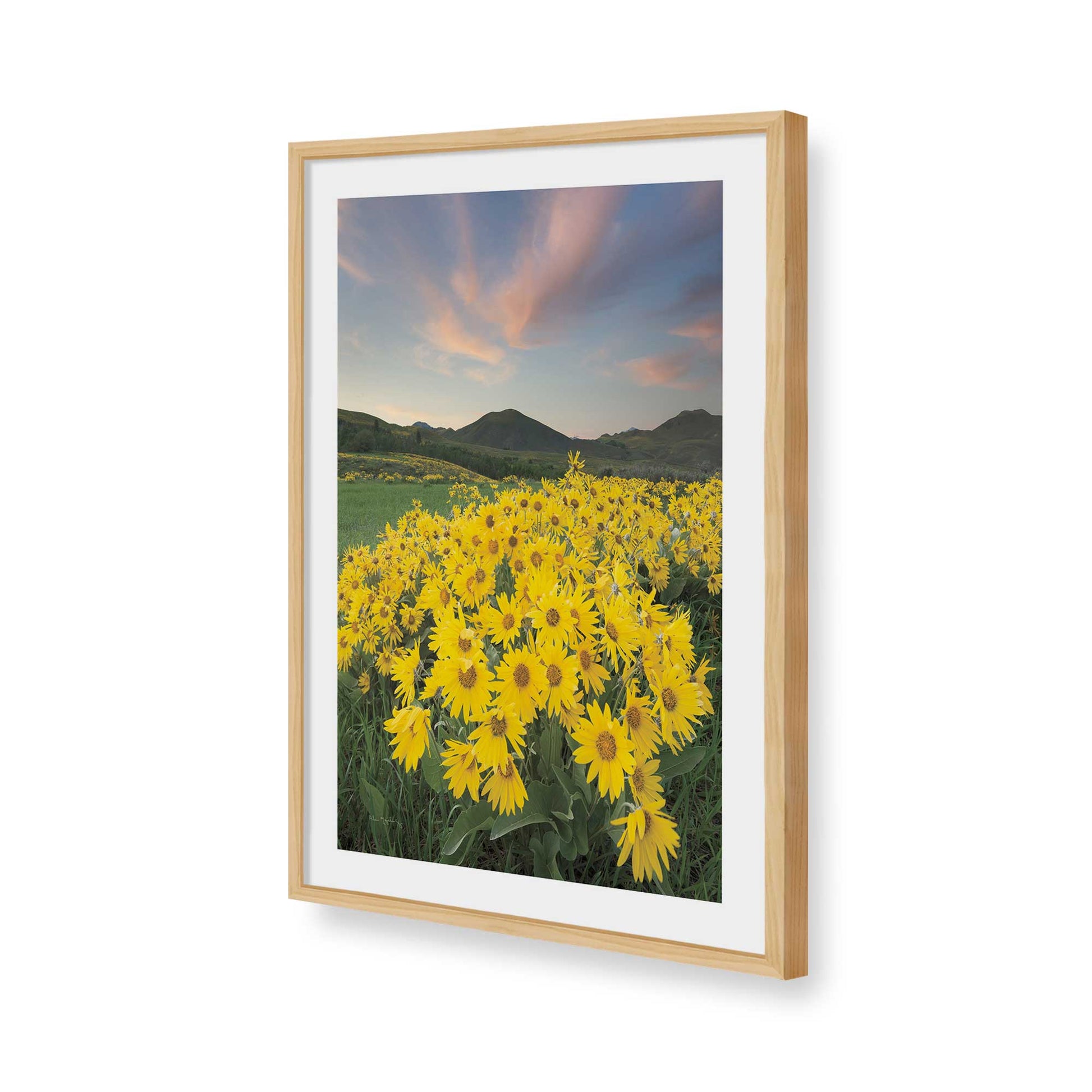 [Color:American Maple], Picture of art in a American Maple frame of the corner