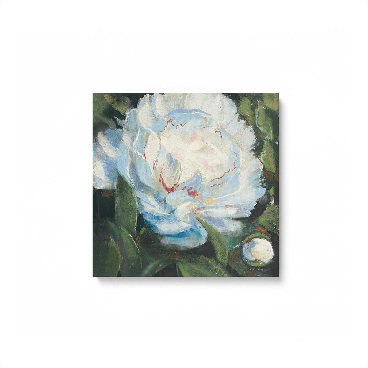[Color:Stretched Canvas], Picture of art