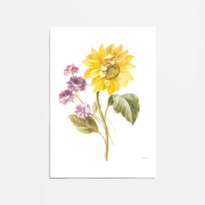 [Color:Rolled Print], Picture of close up of art