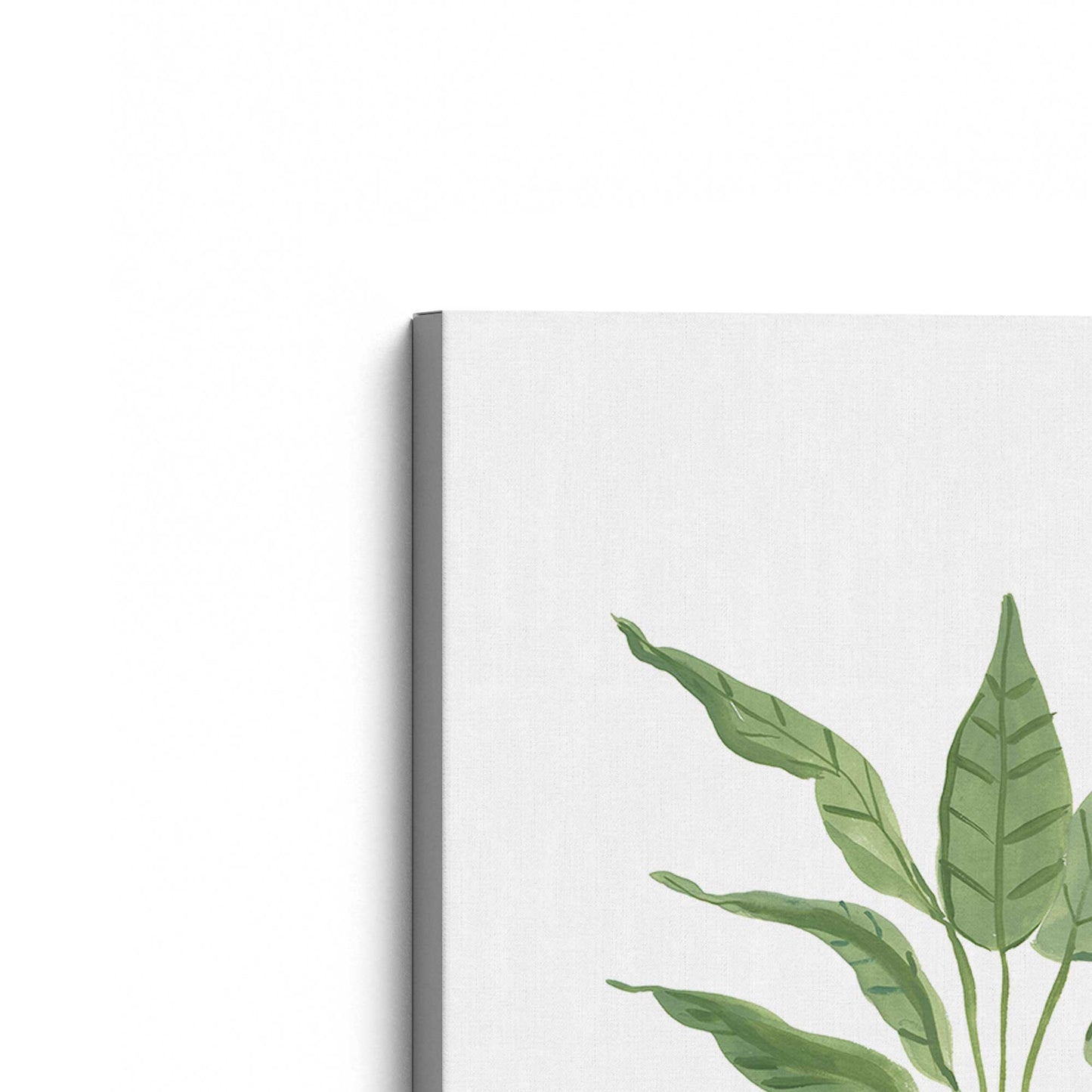 [Color:Stretched Canvas], Picture of the corner of the art