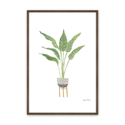[Color:Walnut], Picture of art in a Walnut frame