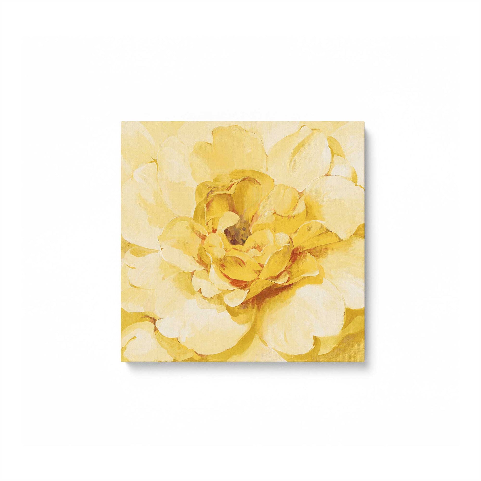 [Color:Stretched Canvas], Picture of art