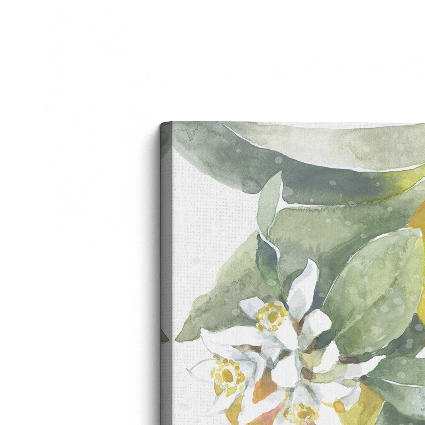 [Color:Stretched Canvas], Picture of the corner of the art
