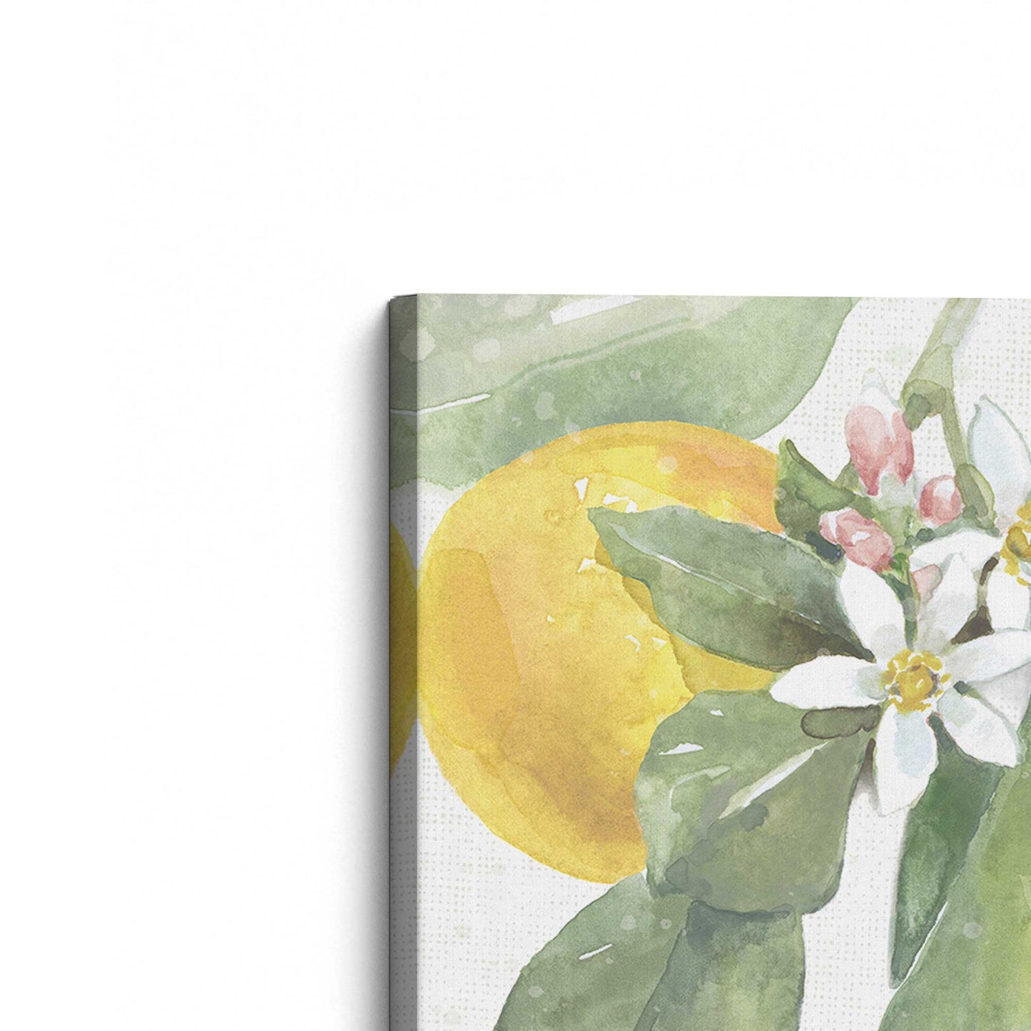 [Color:Stretched Canvas], Picture of the corner of the art