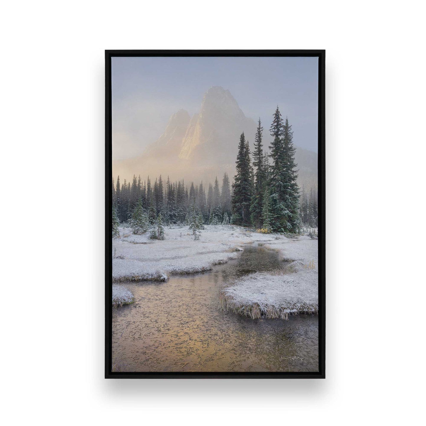 [Color:Satin Black], Front image of the art