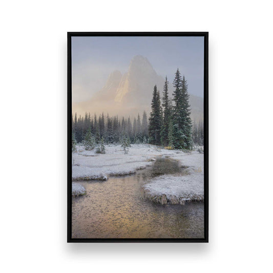 [Color:Satin Black], Front image of the art