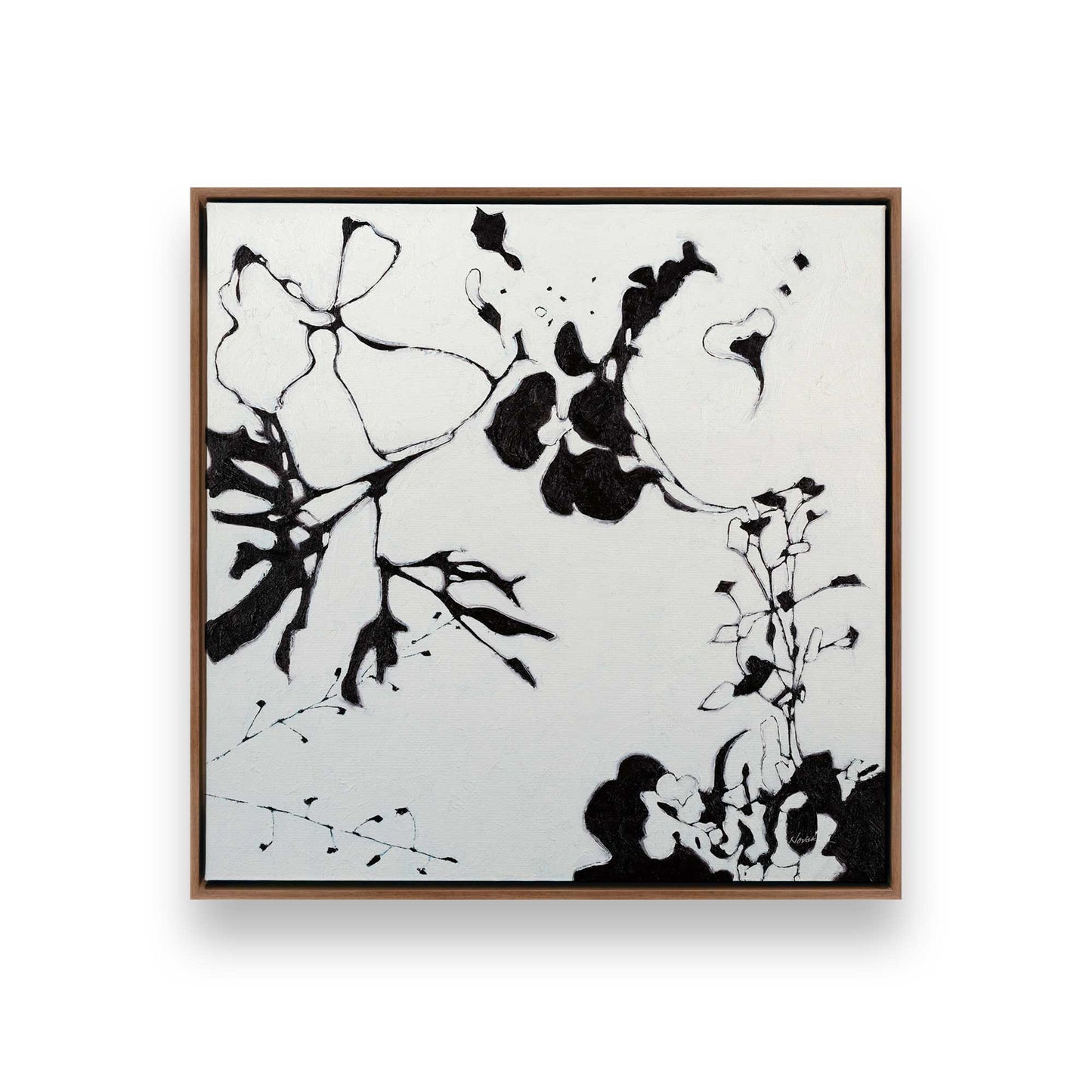 Bold Bloom Drama, Set of 3 Canvas Prints