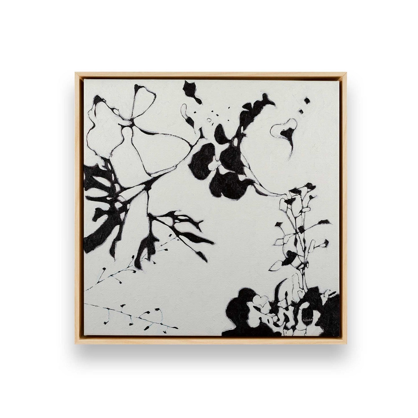 Bold Bloom Drama, Set of 3 Canvas Prints
