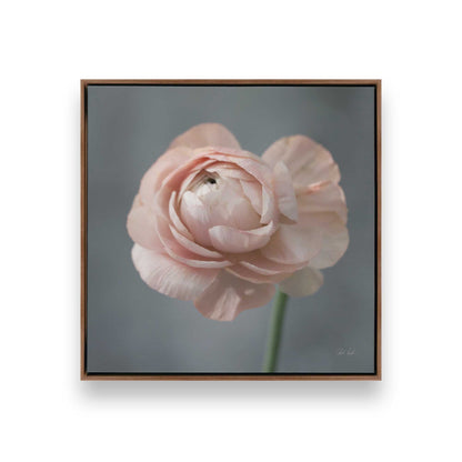 [Color:Walnut], Picture of art in a Walnut frame