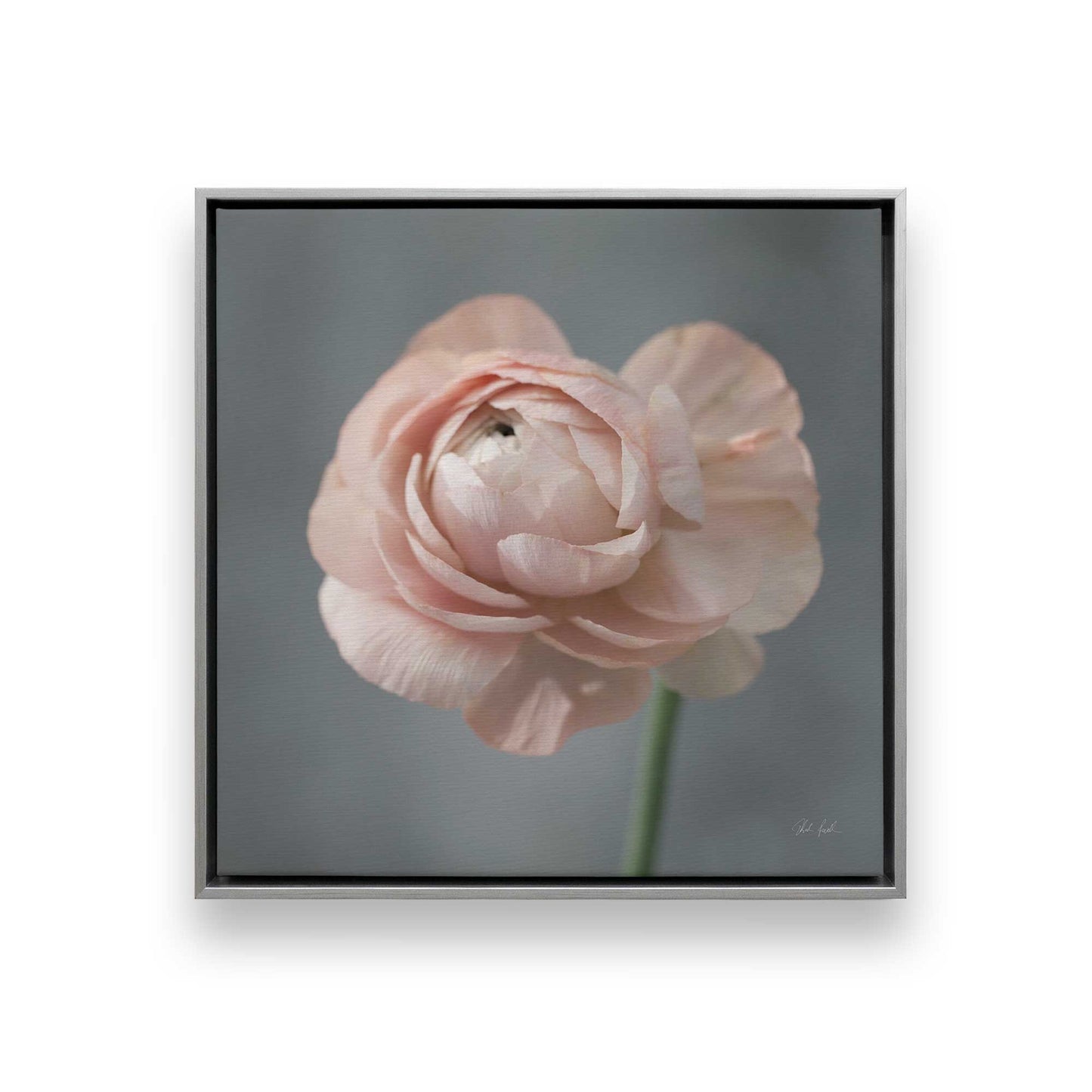 [Color:Polished Chrome], Picture of art in a Polished Chrome frame