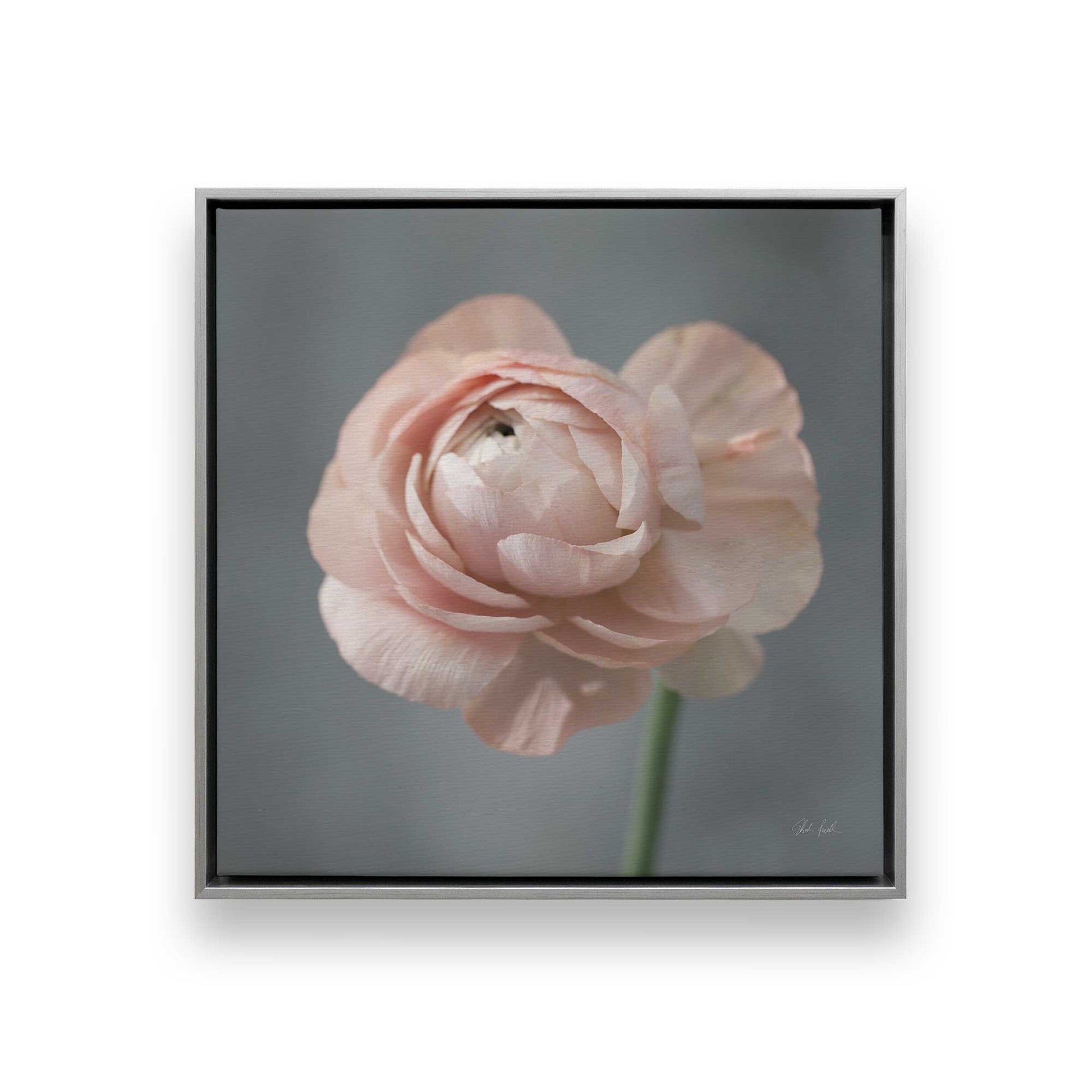 [Color:Polished Chrome], Picture of art in a Polished Chrome frame