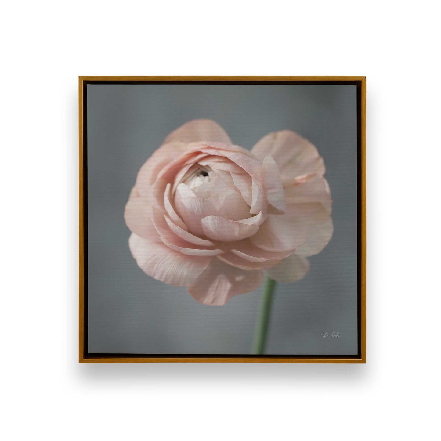 [Color:Polished Gold], Picture of art in a Polished Gold frame
