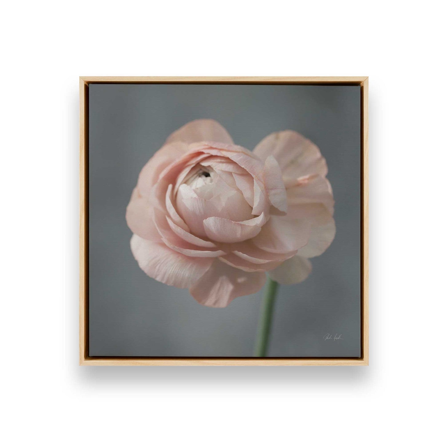 [Color:American Maple], Picture of art in a American Maple frame