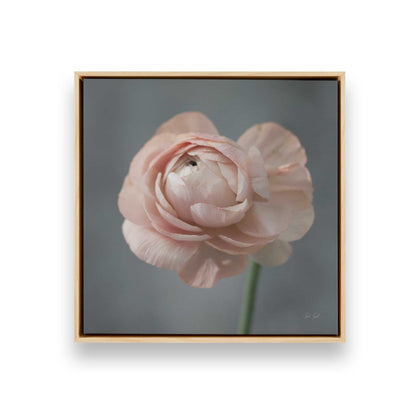 [Color:American Maple], Picture of art in a American Maple frame