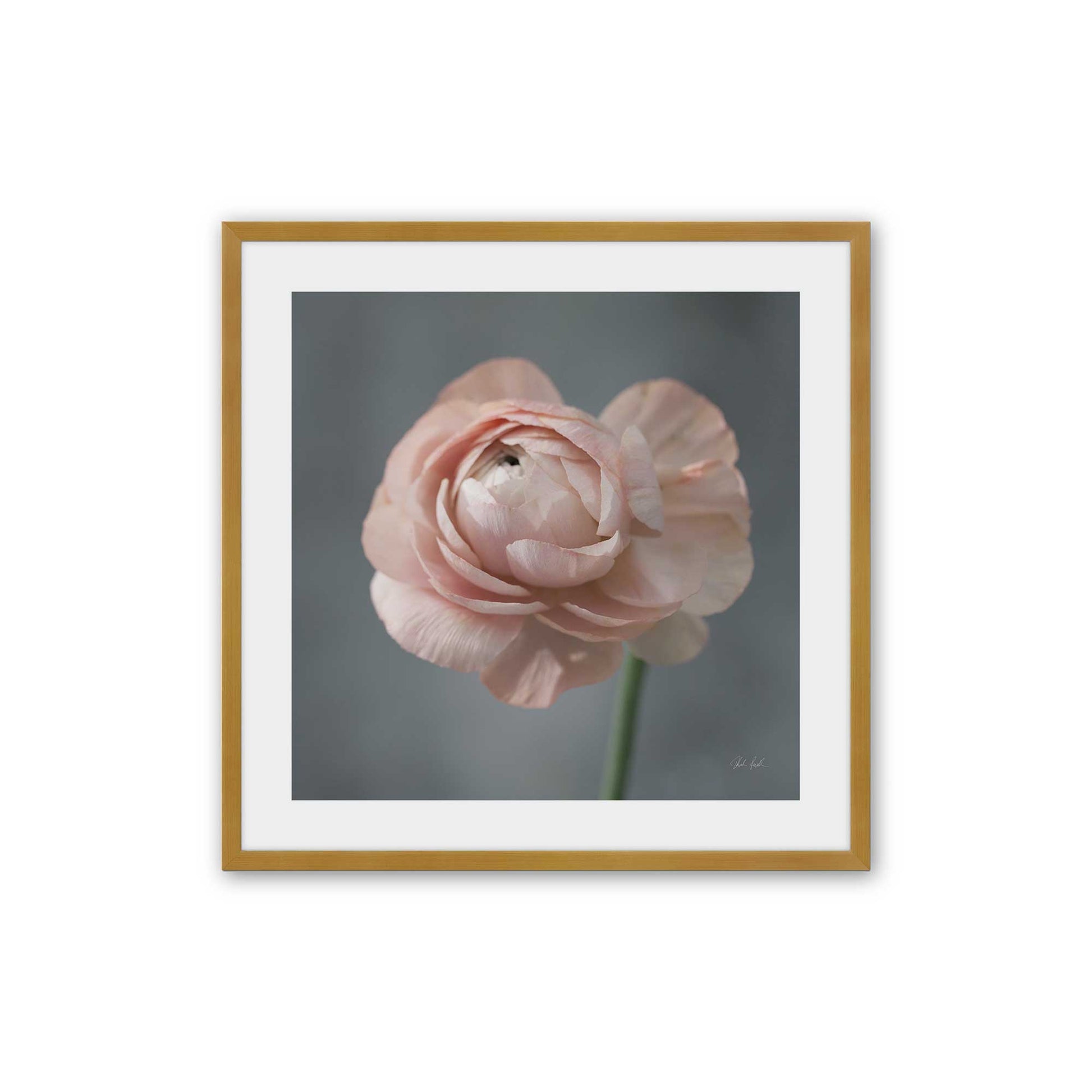 [Color:Polished Gold], Picture of art in a Polished Gold frame