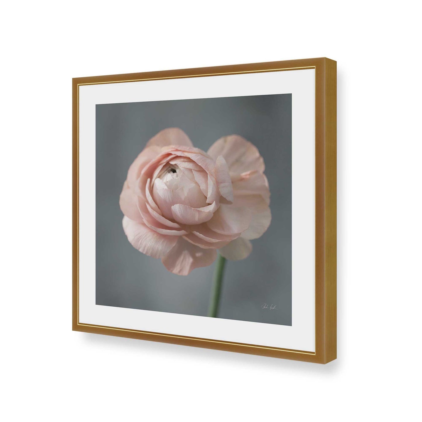 [Color:Polished Gold], Picture of art in a Polished Gold frame of the corner