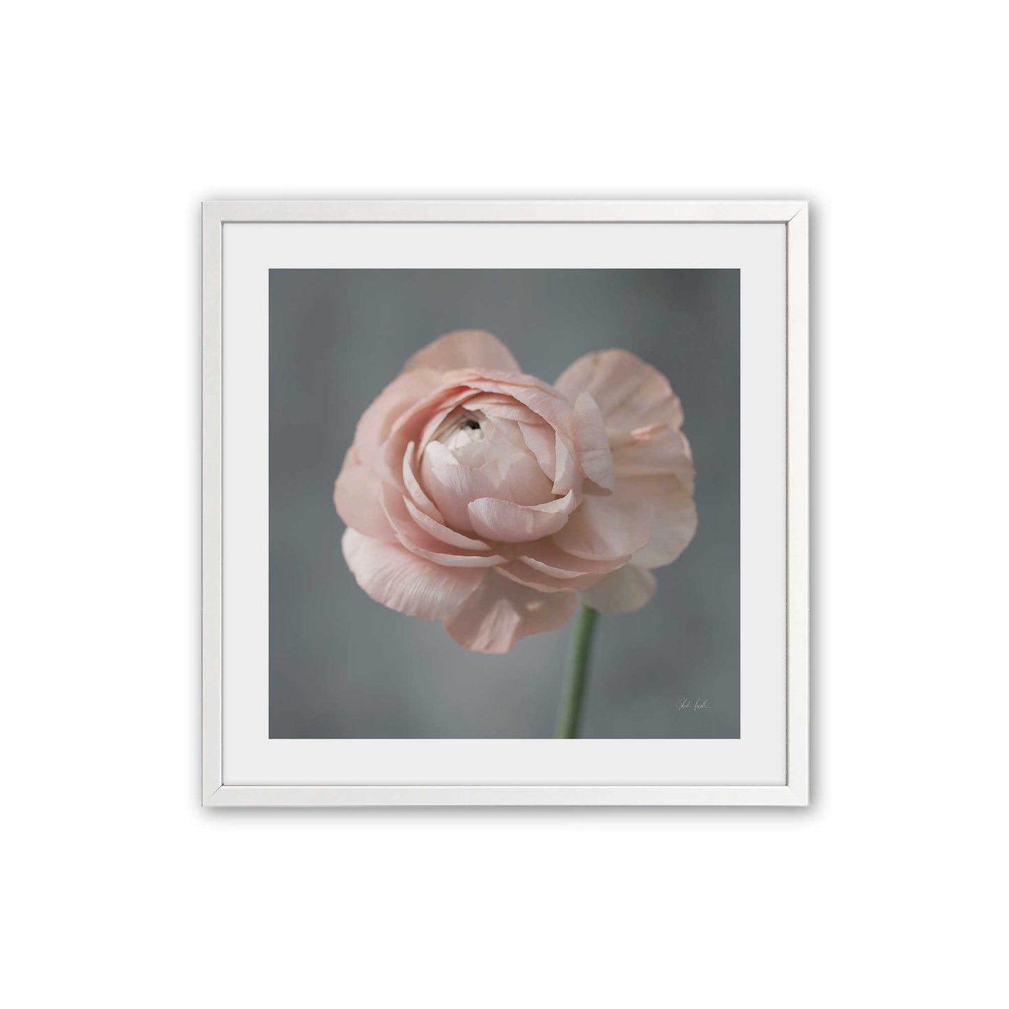 [Color:Opaque White], Picture of art in a Opaque White frame