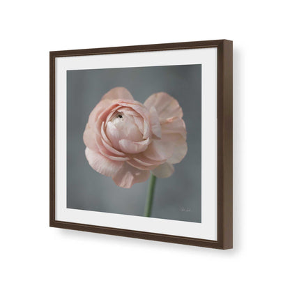 [Color:Espresso], Picture of art in a Espresso frame of the corner