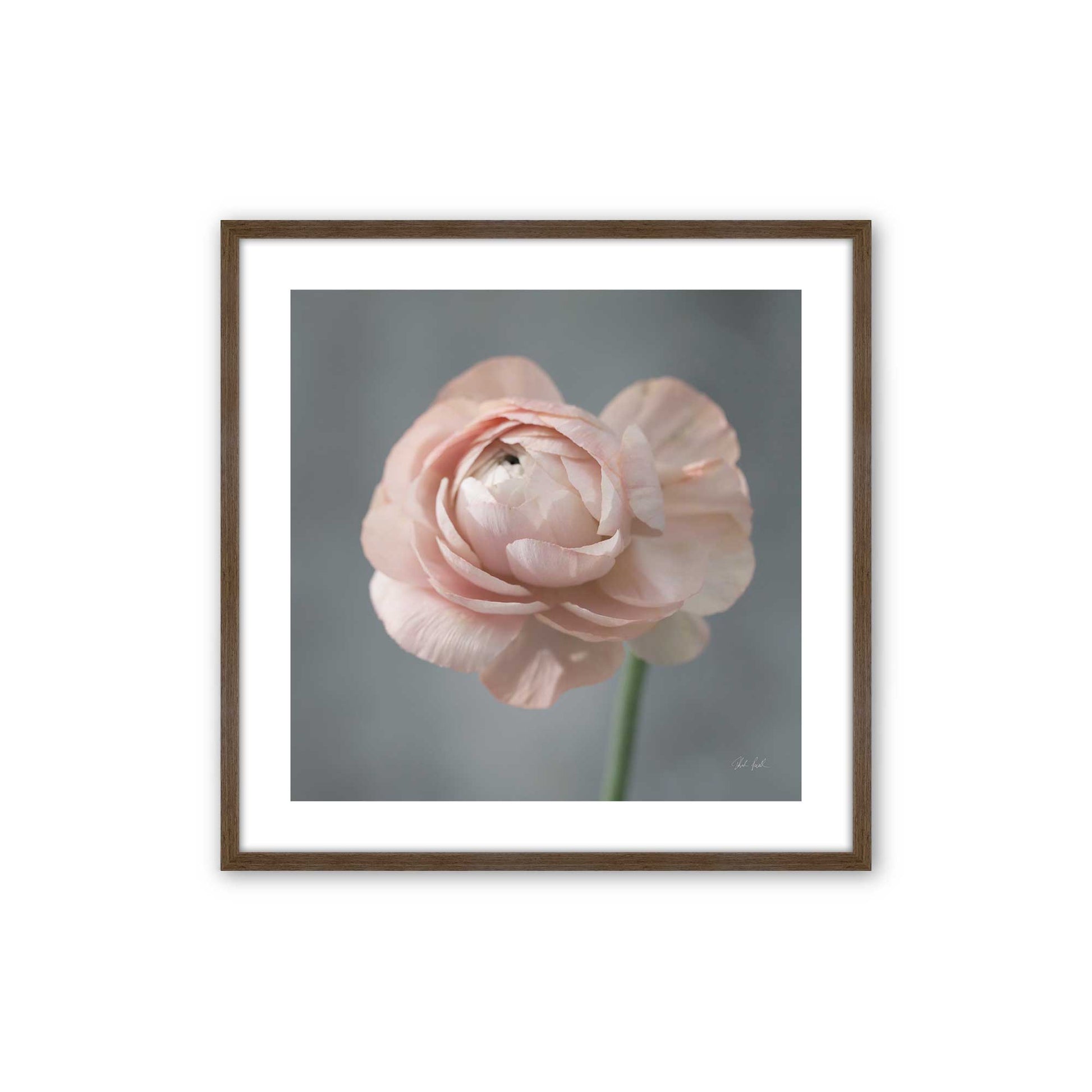 [Color:Walnut], Picture of art in a Walnut frame