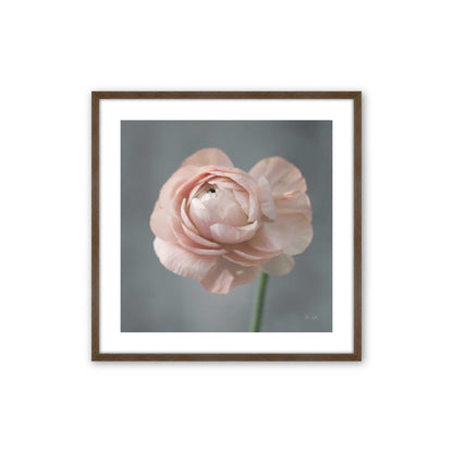 [Color:Walnut], Picture of art in a Walnut frame