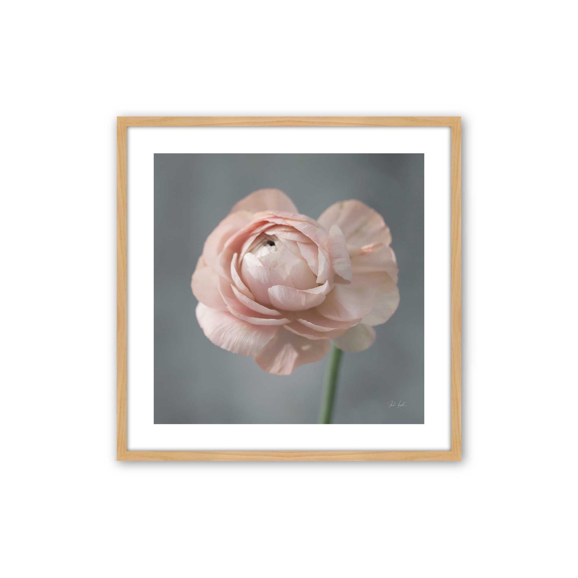 [Color:American Maple], Picture of art in a American Maple frame