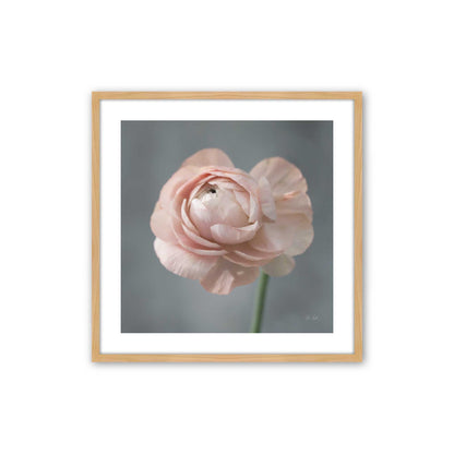 [Color:American Maple], Picture of art in a American Maple frame