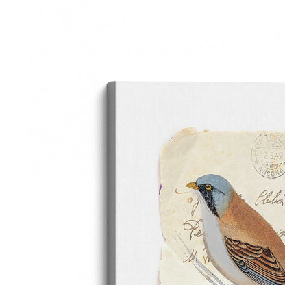 [Color:Stretched Canvas], Picture of the corner of the art