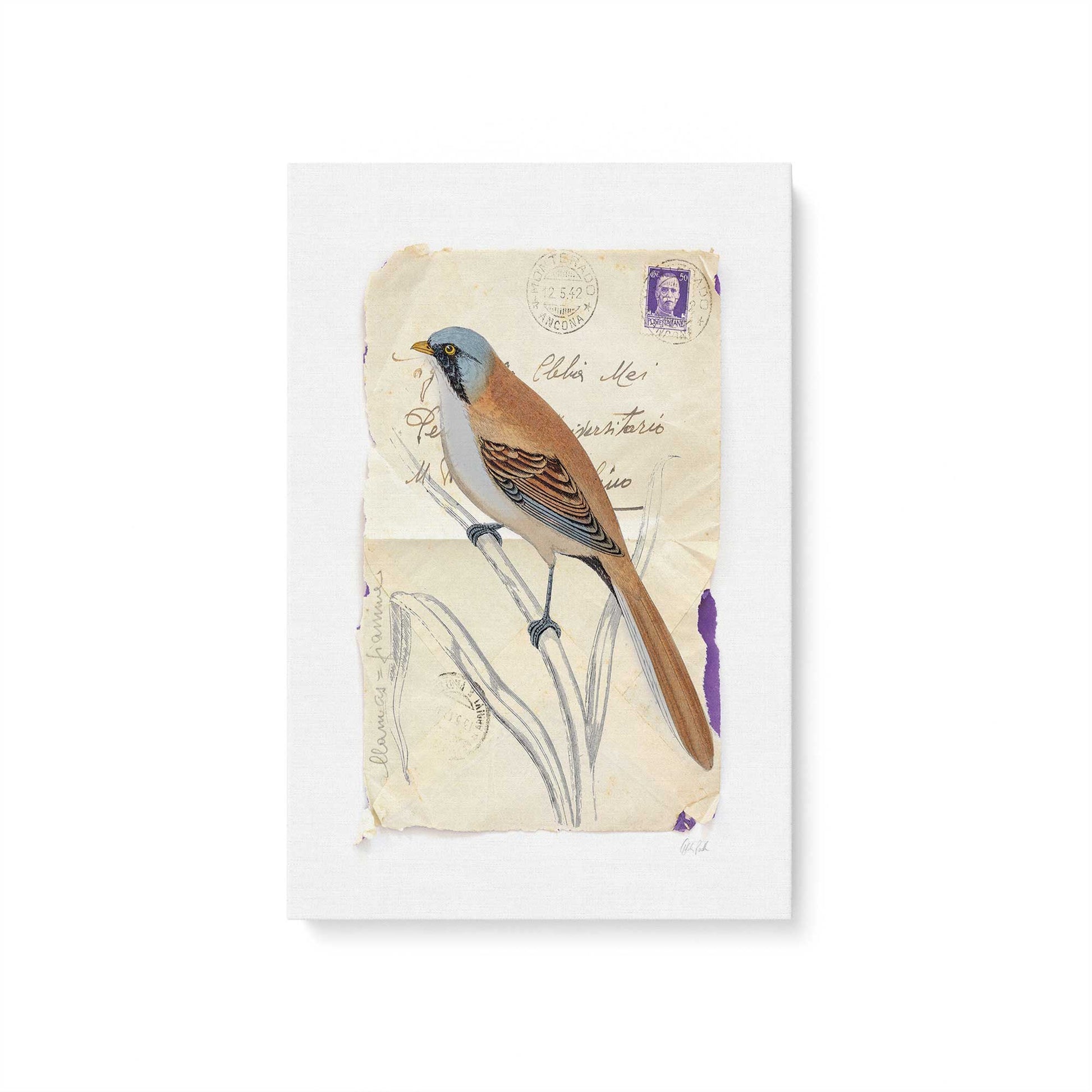 [Color:Stretched Canvas], Picture of art