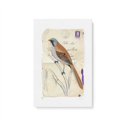 [Color:Stretched Canvas], Picture of art