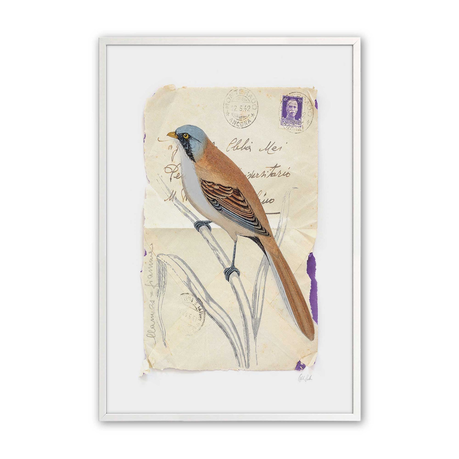 [Color:Opaque White], Picture of art in a Opaque White frame
