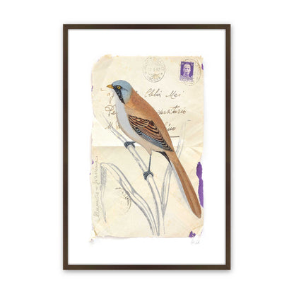 [Color:Belvinder Brown], Picture of art in a Belvinder Brown frame