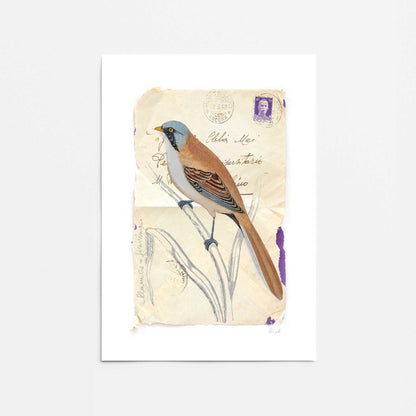 [Color:Rolled Print], Picture of close up of art