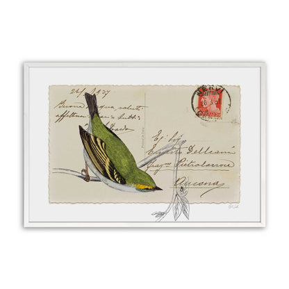 [Color:Opaque White], Picture of art in a Opaque White frame