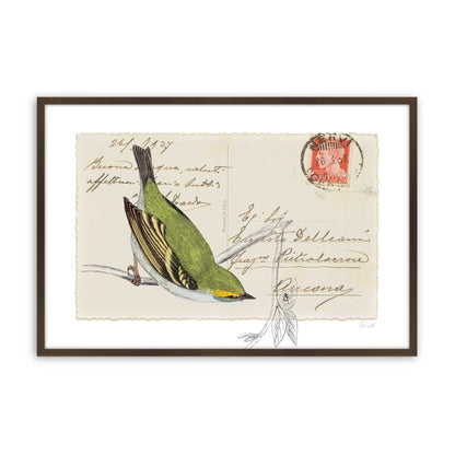 [Color:Brown], Picture of art in a Brown frame