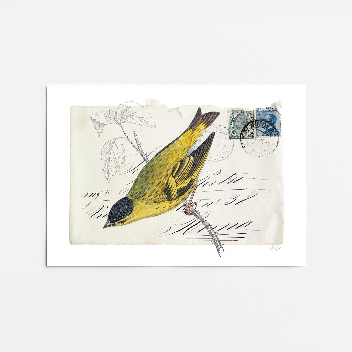 [Color:Rolled Print], Picture of close up of art