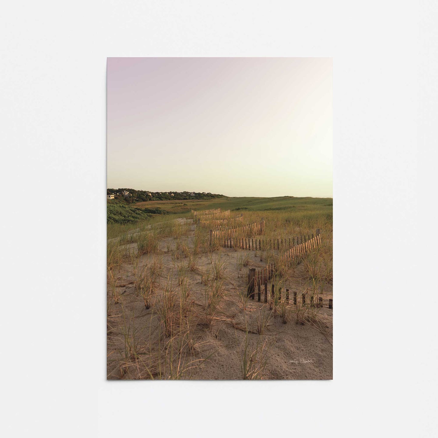 [Color:Rolled Print], Picture of close up of art
