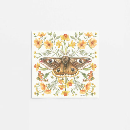 [Color:Rolled Print], Picture of close up of art