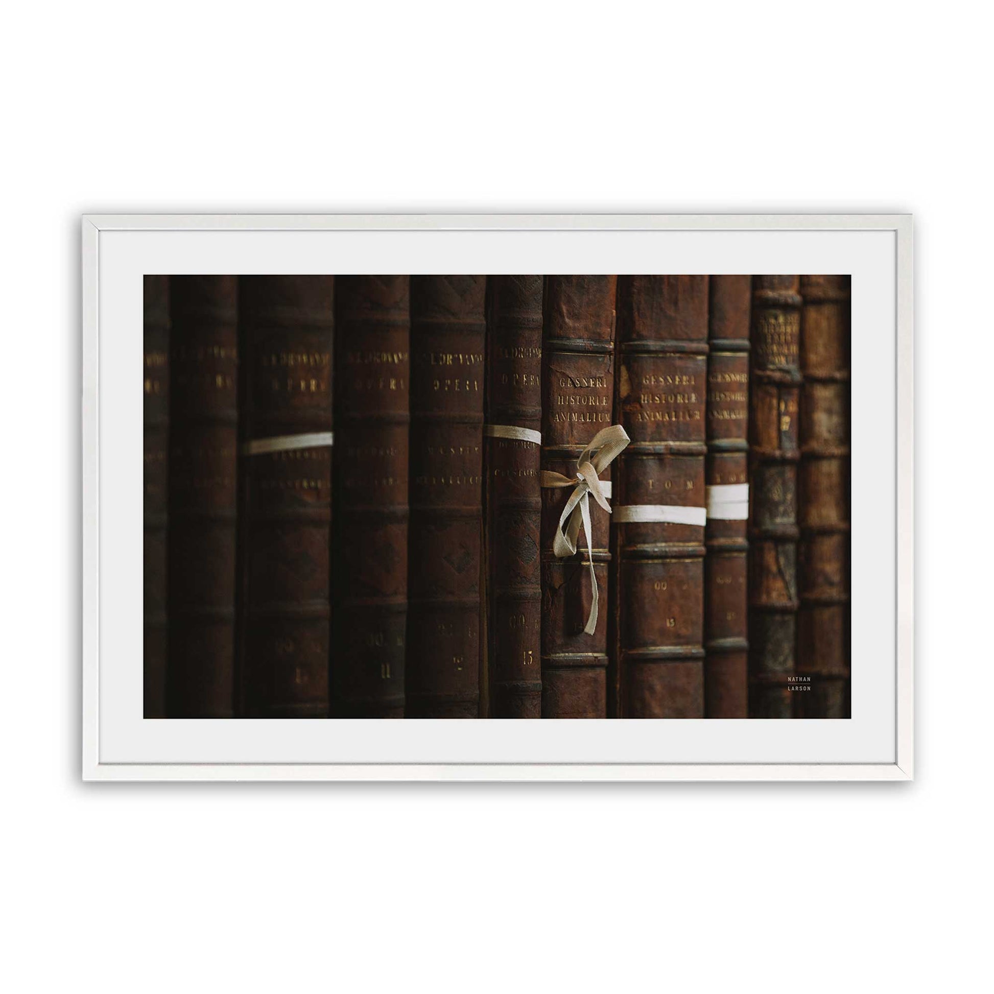 [Color:Opaque White], Picture of art in a Opaque White frame