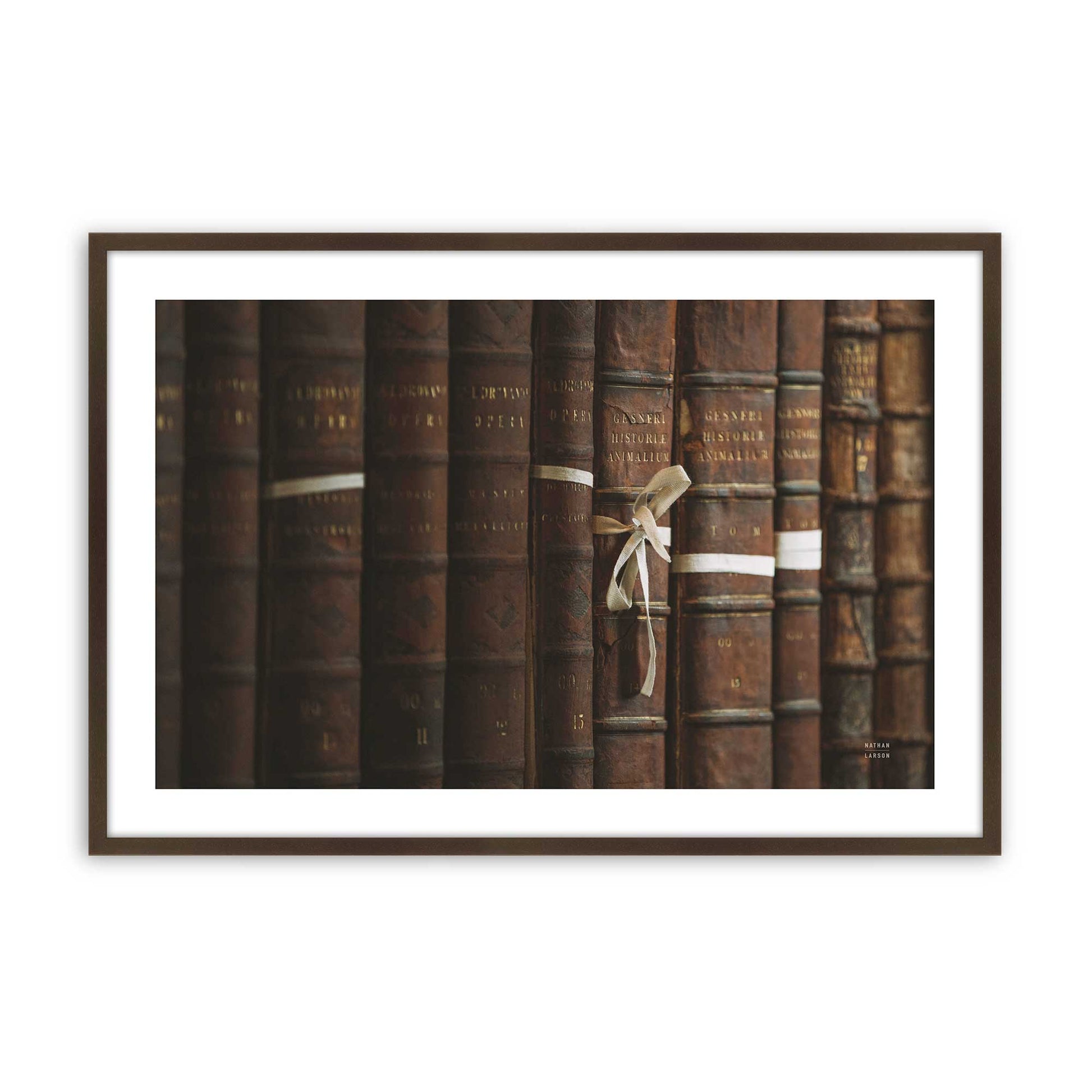 [Color:Brown], Picture of art in a Brown frame