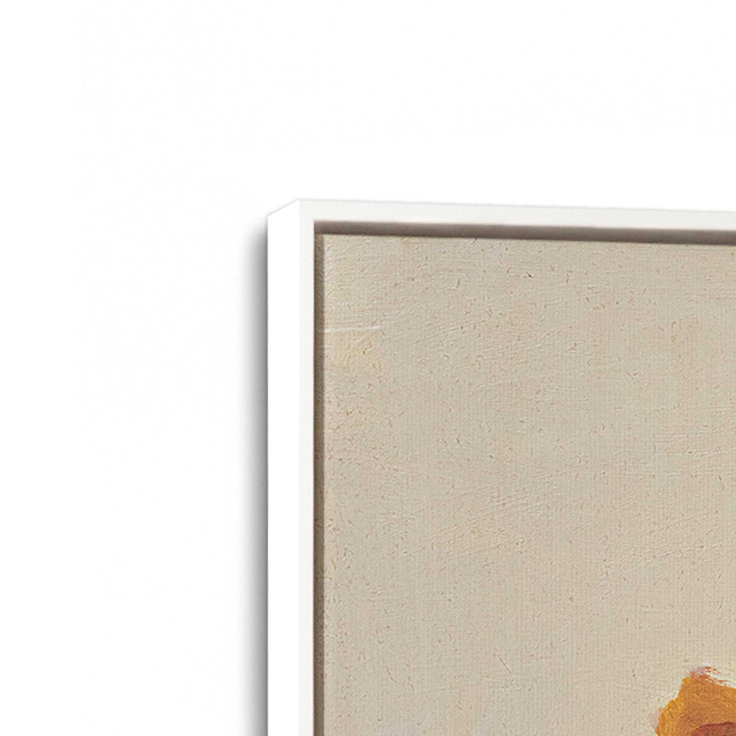 [Color:Opaque White], Picture of art in a White frame at an angle