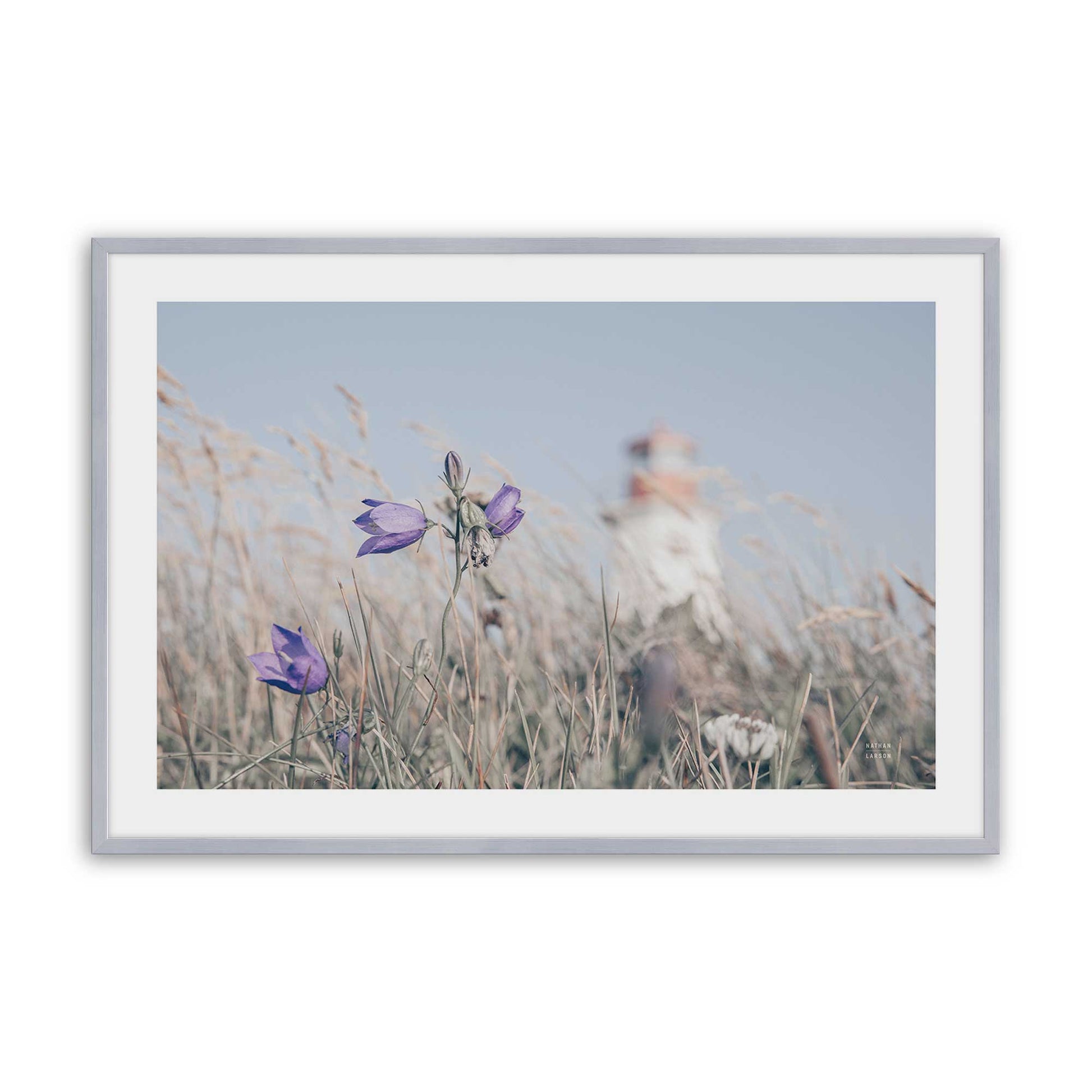[Color:Polished Chrome], Picture of art in a Polished Chrome frame