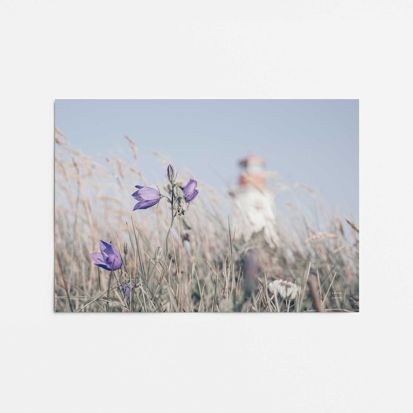 [Color:Rolled Print], Picture of close up of art