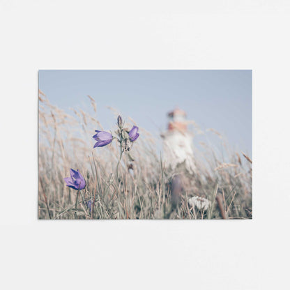 [Color:Rolled Print], Picture of close up of art