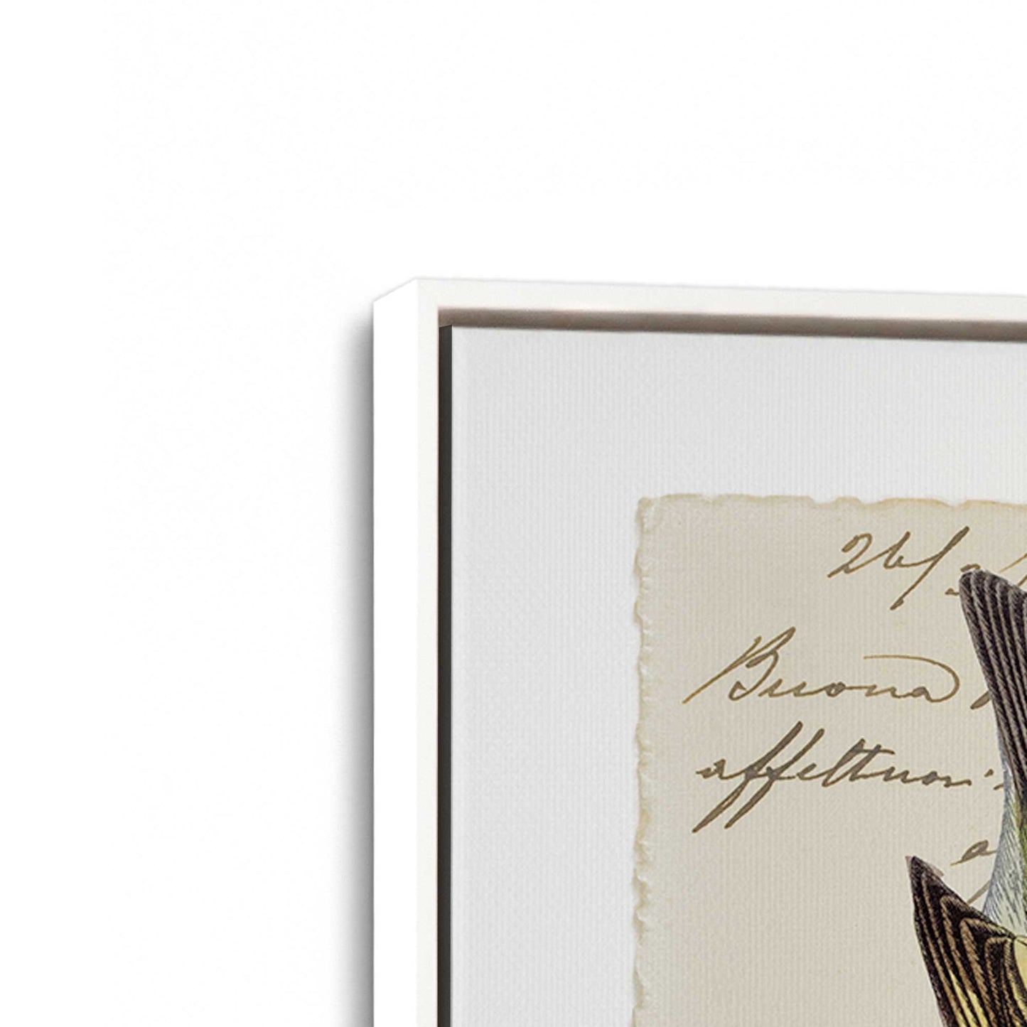 [Color:Opaque White], Picture of the corner of the art