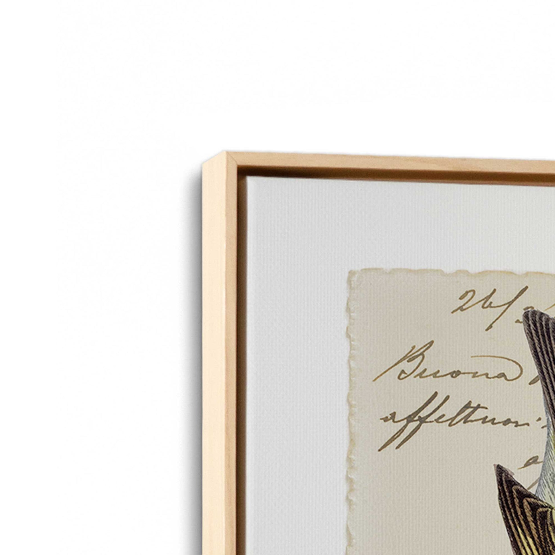 [Color:American Maple], Picture of the corner of the art