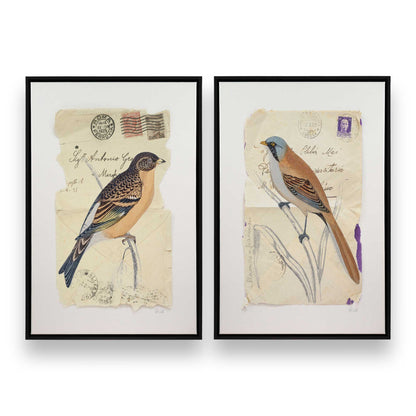 [Color:Satin Black],