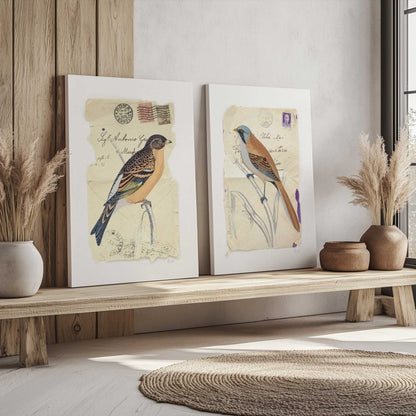 [Color:Stretched Canvas], Picture of art