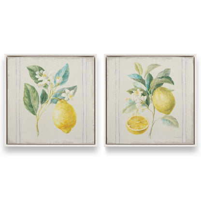 [Color:Opaque White], Picture of art in a White frame
