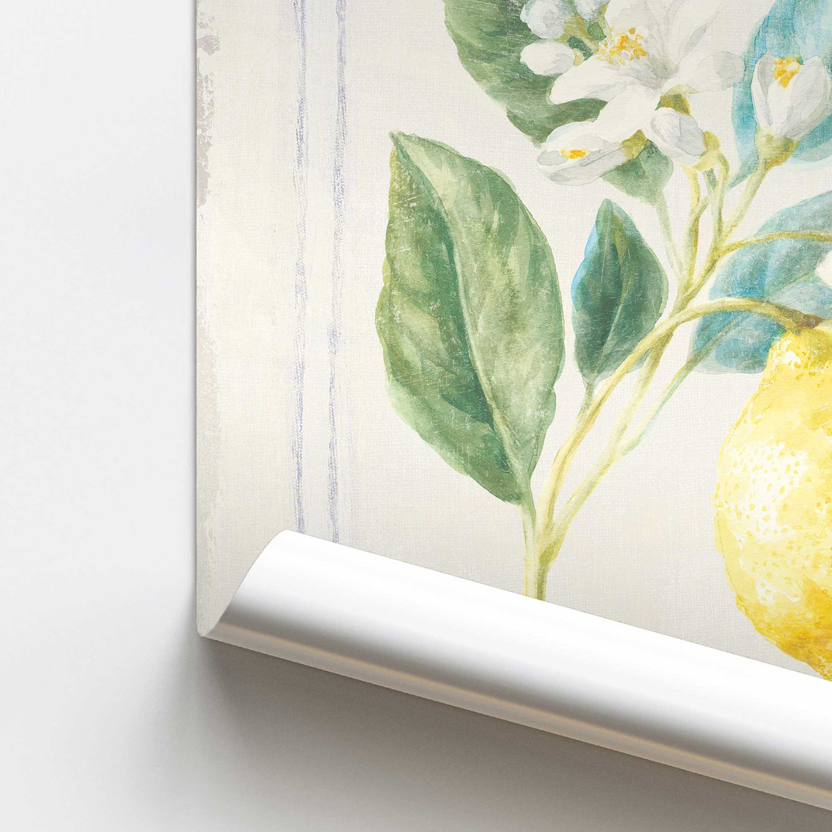 [color:Rolled Print], Picture of close up of art